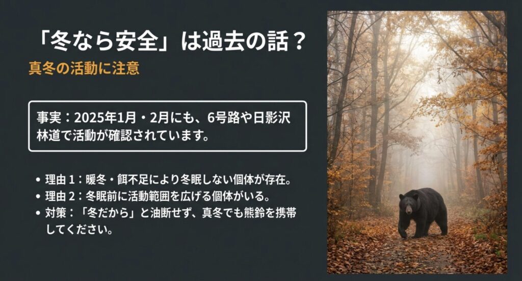 「冬なら安全は過去の話？」と題したスライド。2025年1月・2月にも6号路などで活動が確認された事実と、暖冬や餌不足により冬眠しない個体がいる理由、真冬でも熊鈴が必要であることを解説