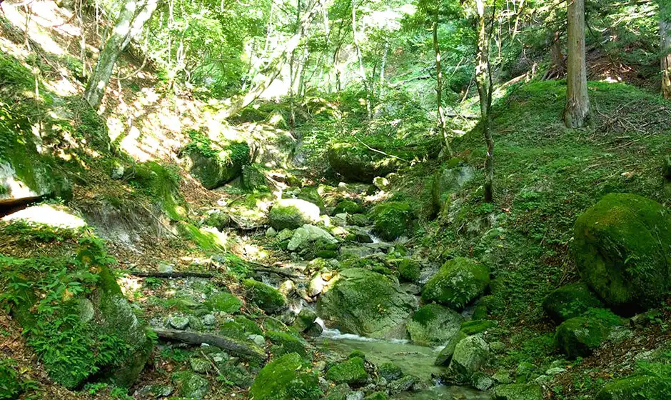 北アルプス 南アルプス 違い 天然水