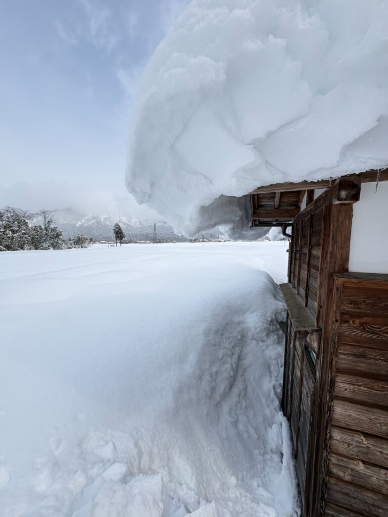 南魚沼 雪 民家