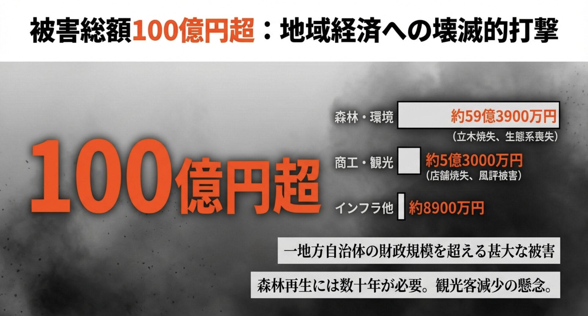 森林被害や商工観光業への打撃など、被害総額が100億円を超える内訳を示したグラフ